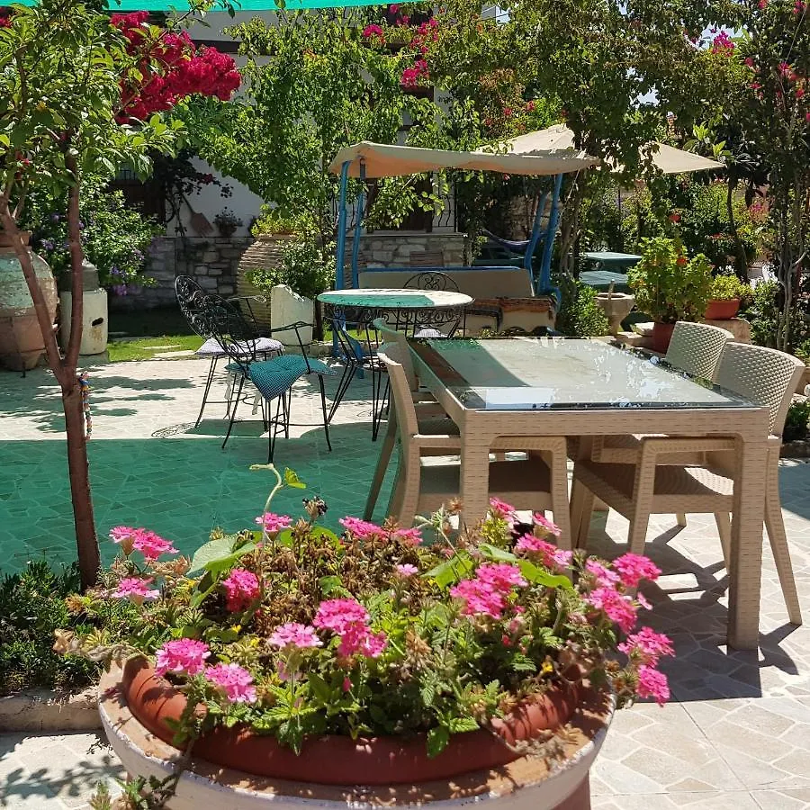 Sezgin Boutique Hotel كوشاداسيه 2*,  تركيا